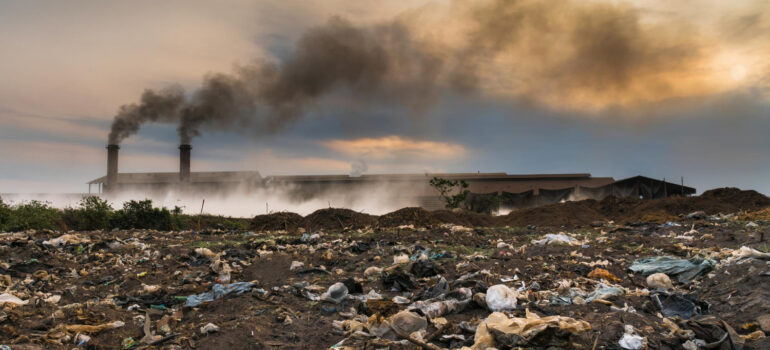 Impactos ambientais: consequências de uma má gestão de resíduos