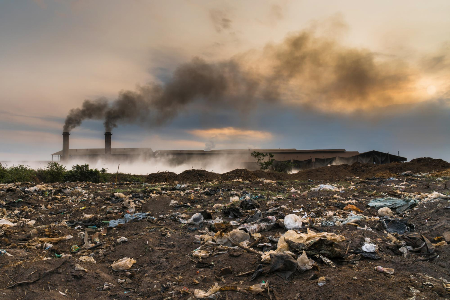 Impactos ambientais: consequências de uma má gestão de resíduos